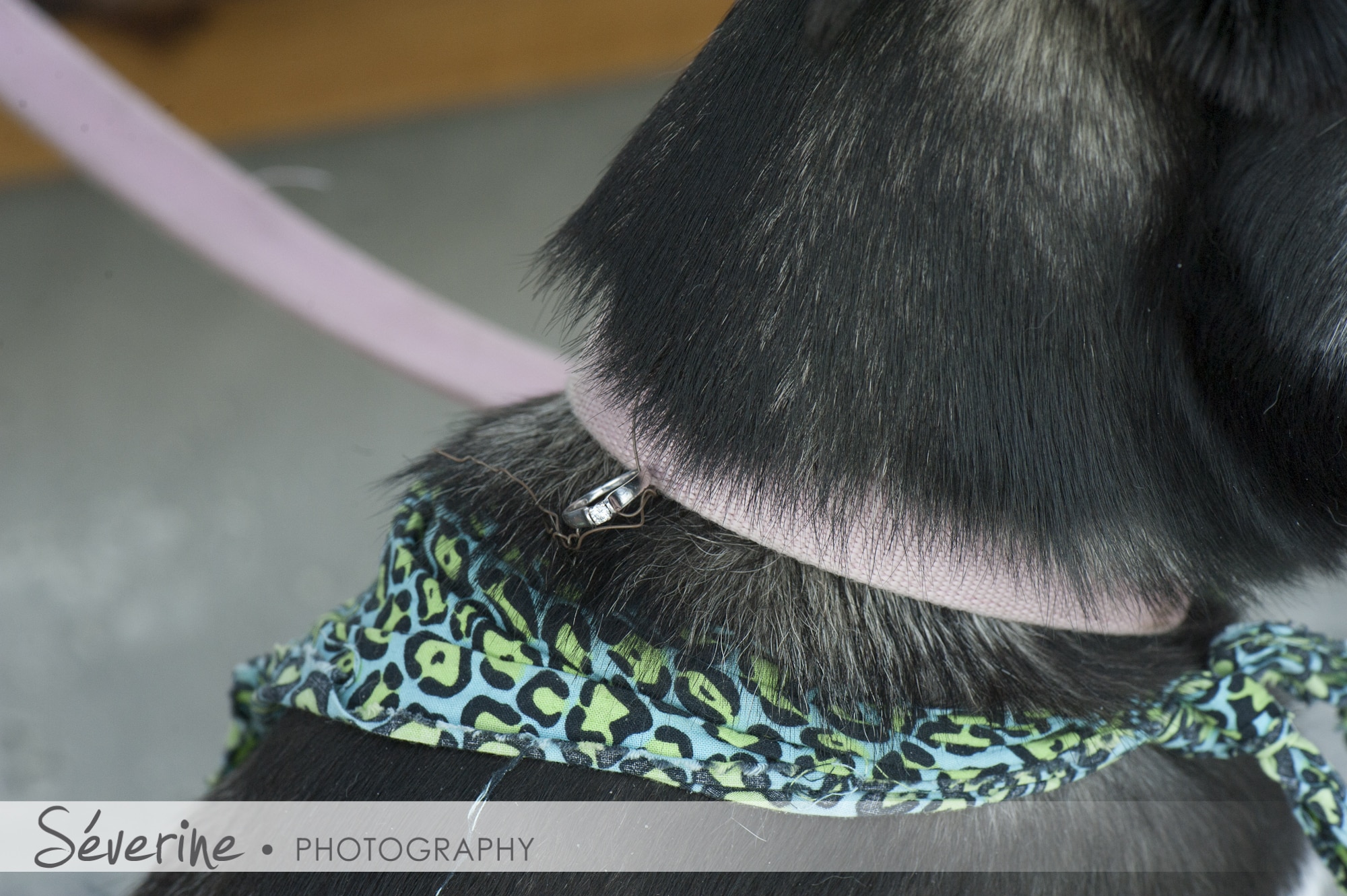 Engagement pictures | Jacksonville Beach Fl