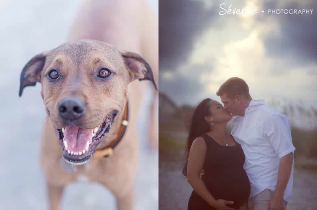 Maternity pictures