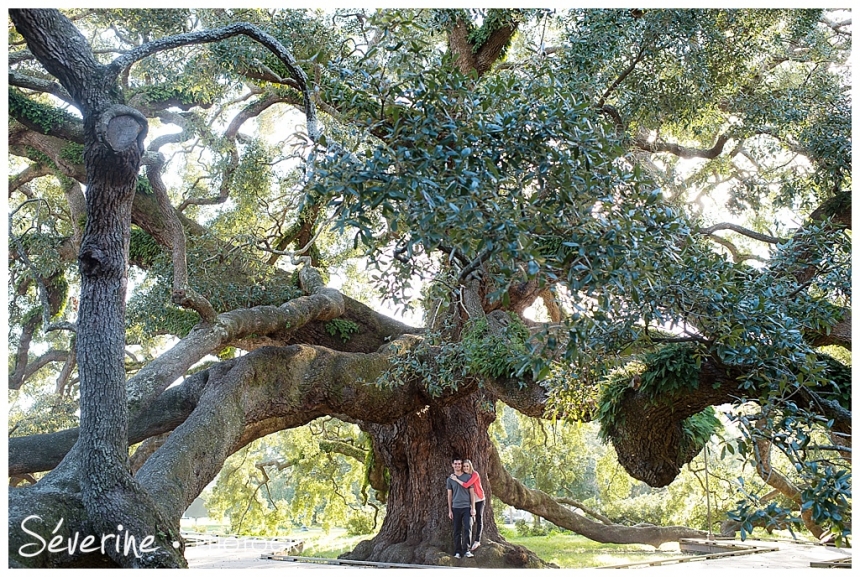 Elegant engagement photos in jacksonville near the Oak Tree Park