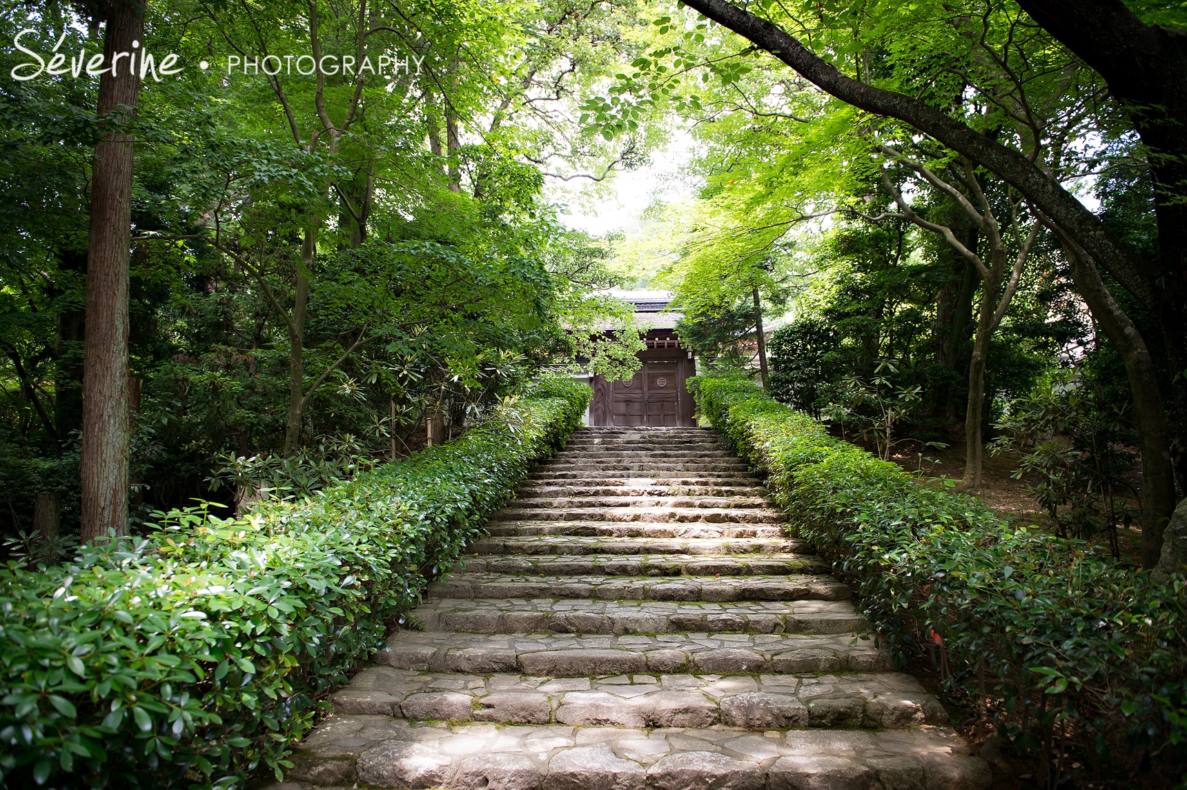 Japanese landscape