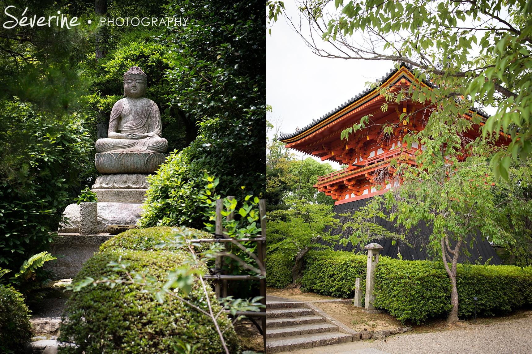 budha kyoto