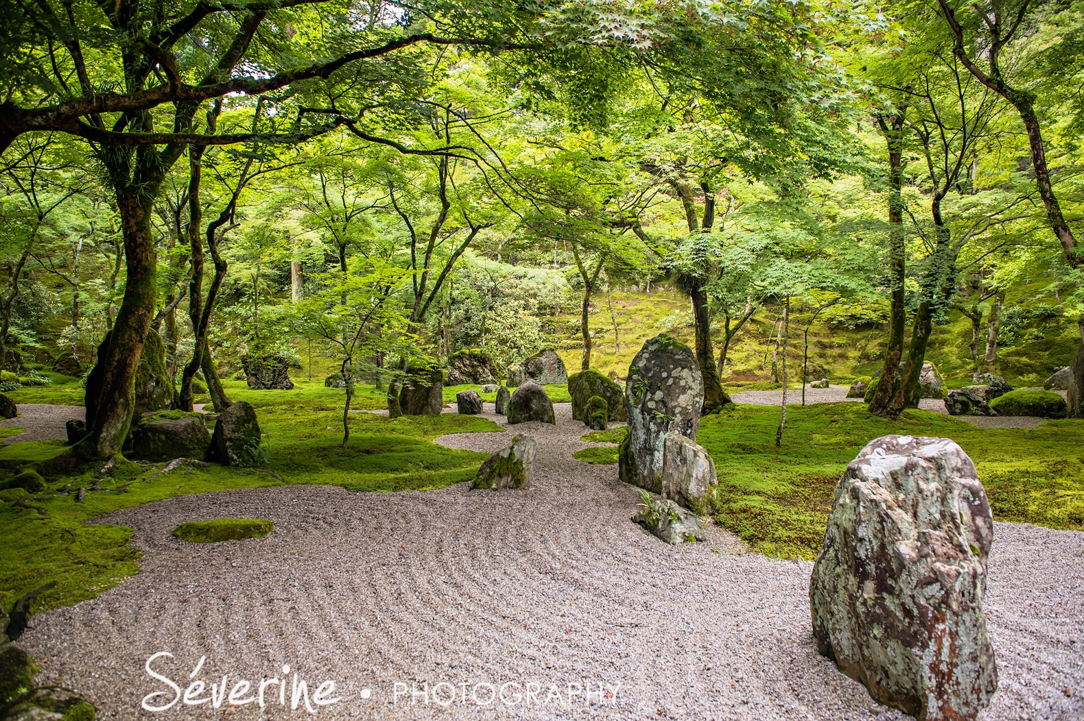 Japanese Garden Japan